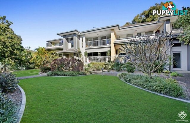 ID:21145542 22 Oleander Avenue Biggera Waters QLD 4216