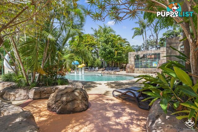ID:21145078 71 Hinde Street Ashmore QLD 4214