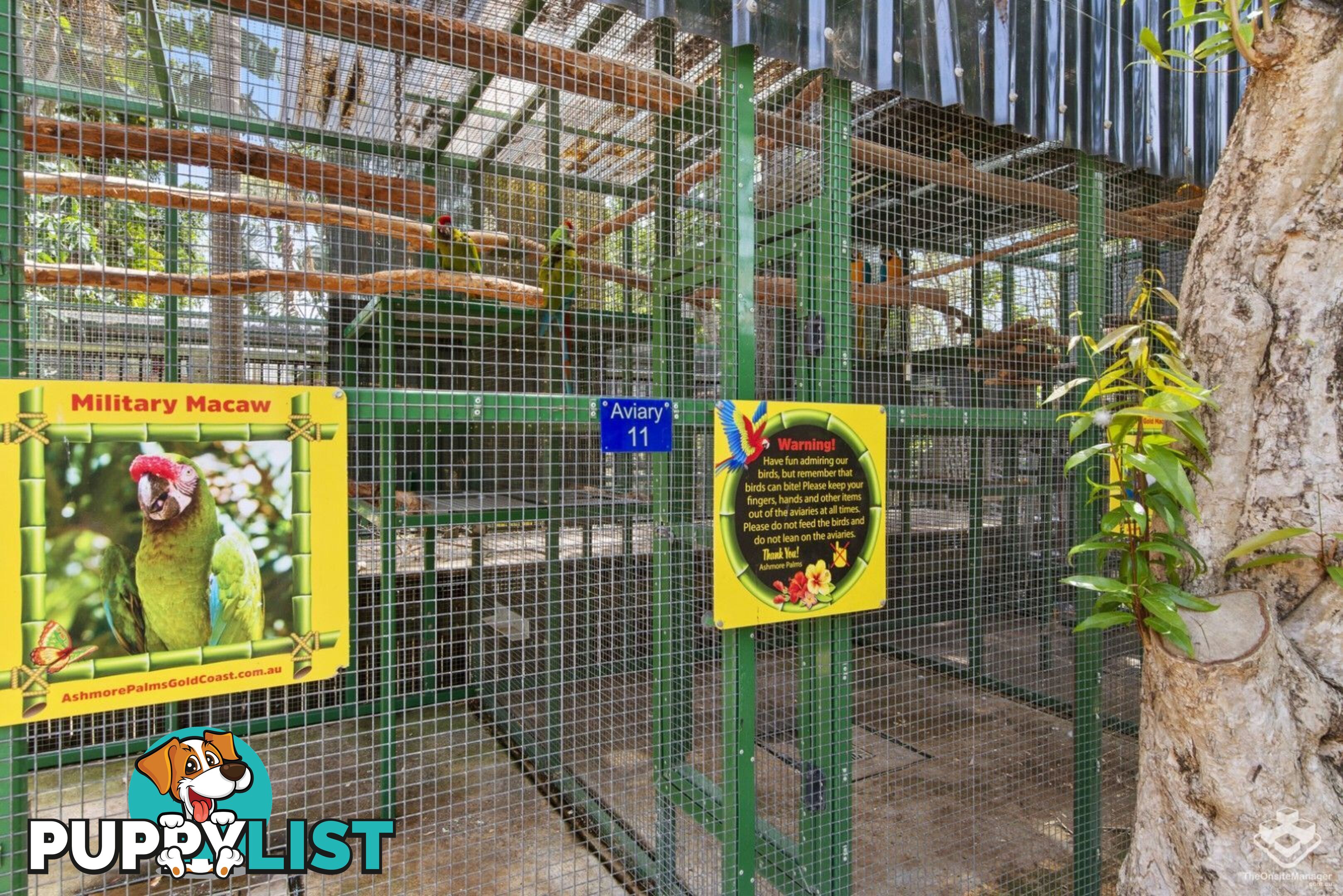 ID:21145078 71 Hinde Street Ashmore QLD 4214