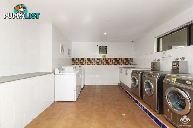 ID:21145078 71 Hinde Street Ashmore QLD 4214