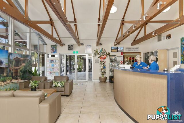 ID:21145078 71 Hinde Street Ashmore QLD 4214