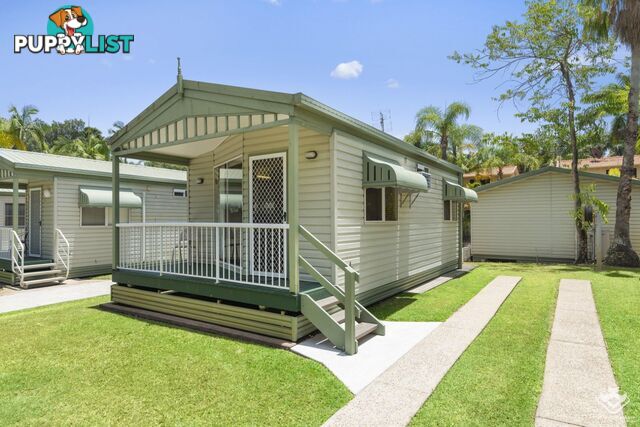 ID:21145078 71 Hinde Street Ashmore QLD 4214