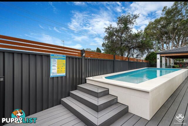 2 Nevenia Street Labrador QLD 4215