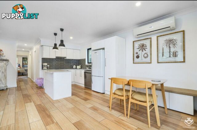 2 Nevenia Street Labrador QLD 4215