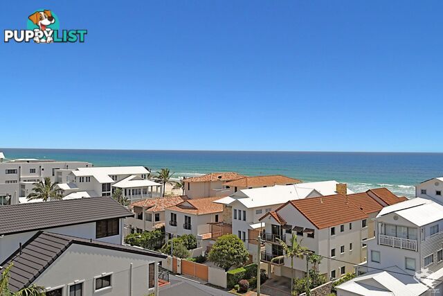 ID:21157649 21 Gold Coast Highway Palm Beach QLD 4221