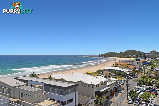 ID:21157649 21 Gold Coast Highway Palm Beach QLD 4221