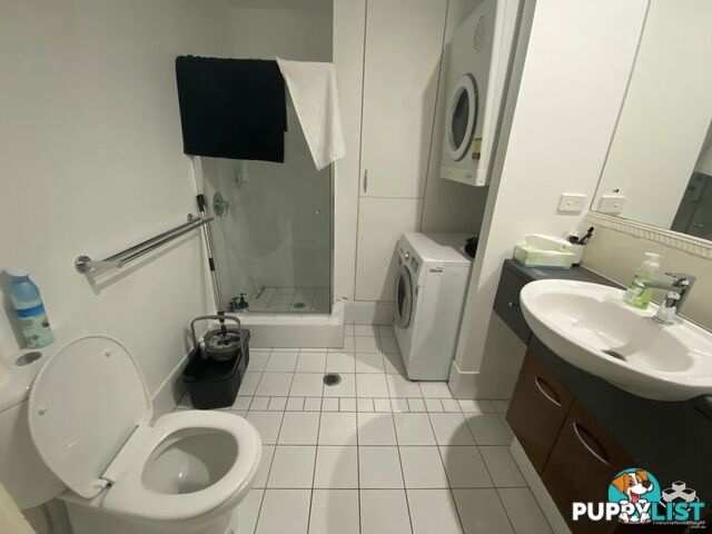 ID:21154282 53 Vernon Terrace Teneriffe QLD 4005