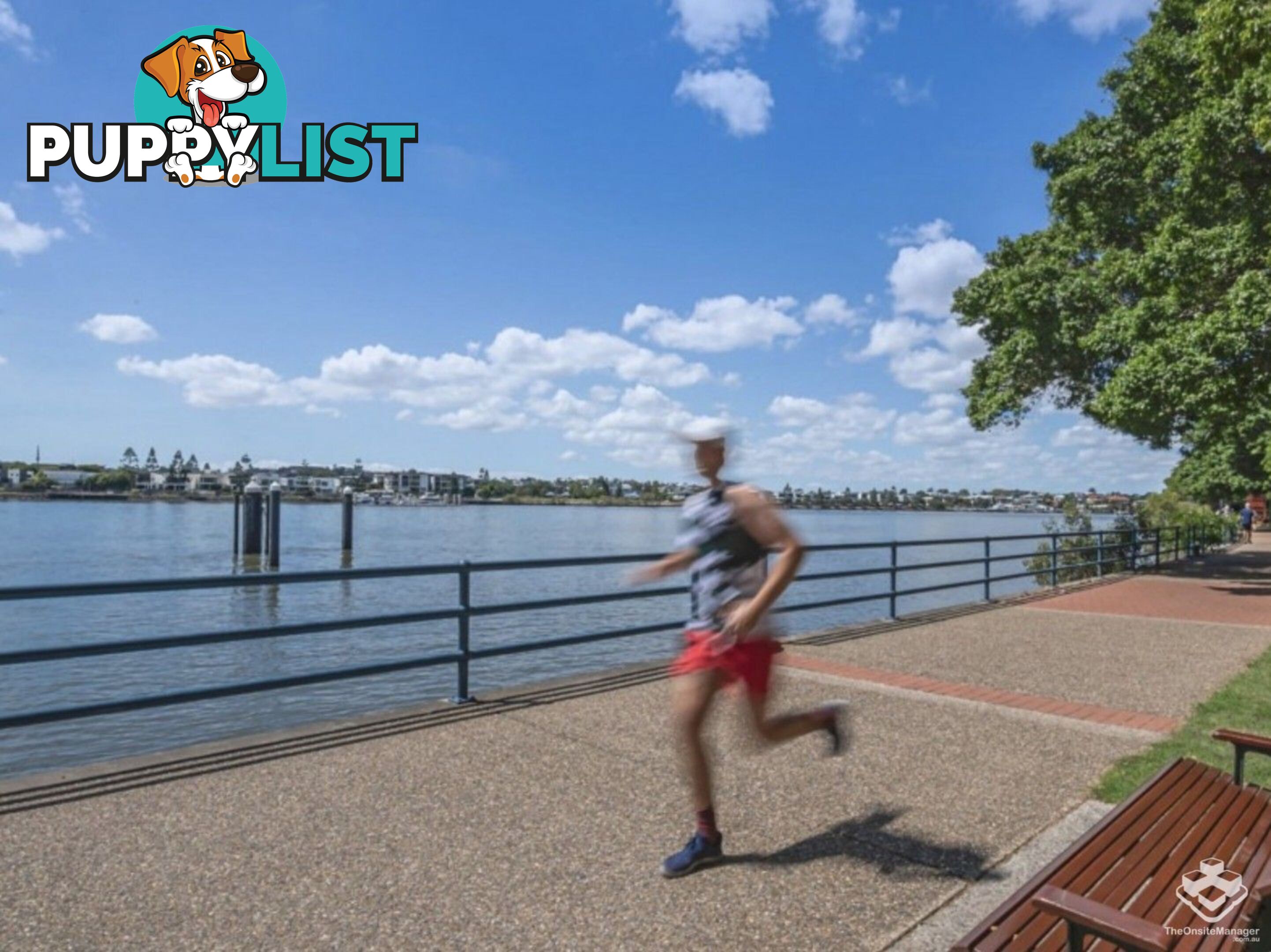 ID:21154282 53 Vernon Terrace Teneriffe QLD 4005