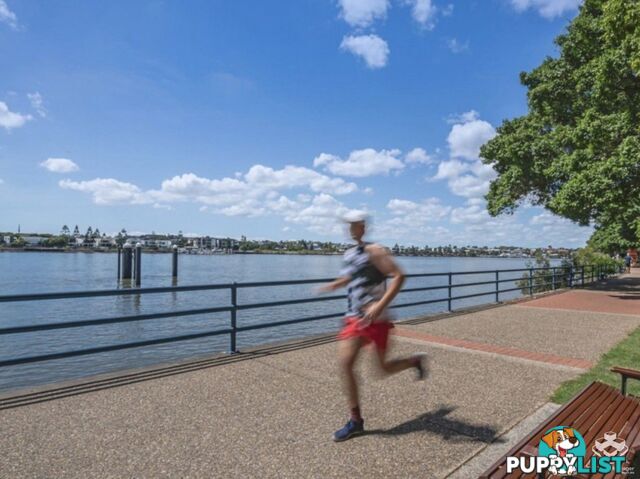 ID:21154282 53 Vernon Terrace Teneriffe QLD 4005