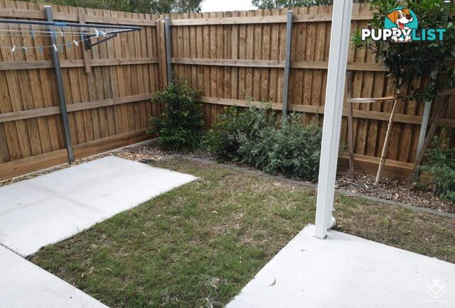 ID:21155035 61 Sean Street Boondall QLD 4034