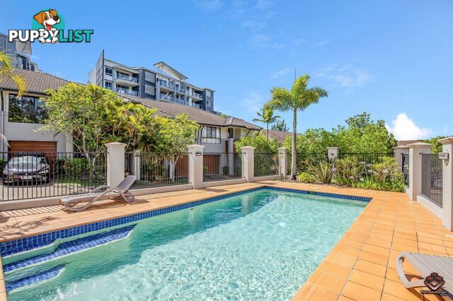 ID:21104703/74 Universal Street Pacific Pines QLD 4211