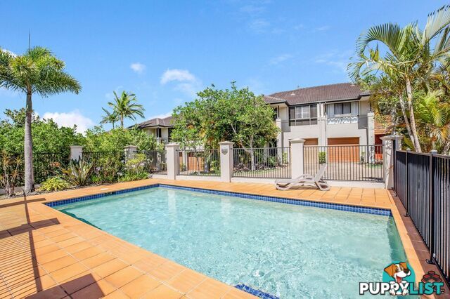 ID:21104703/74 Universal Street Pacific Pines QLD 4211