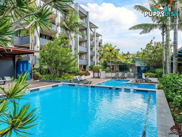 ID:3897559/26 Holland Street Toowong QLD 4066