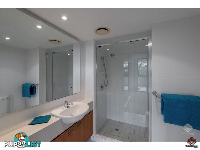 ID:3897559/26 Holland Street Toowong QLD 4066