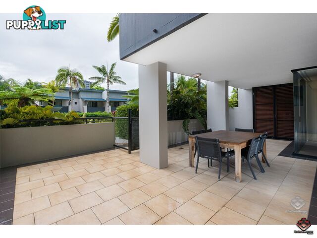 ID:3897559/26 Holland Street Toowong QLD 4066