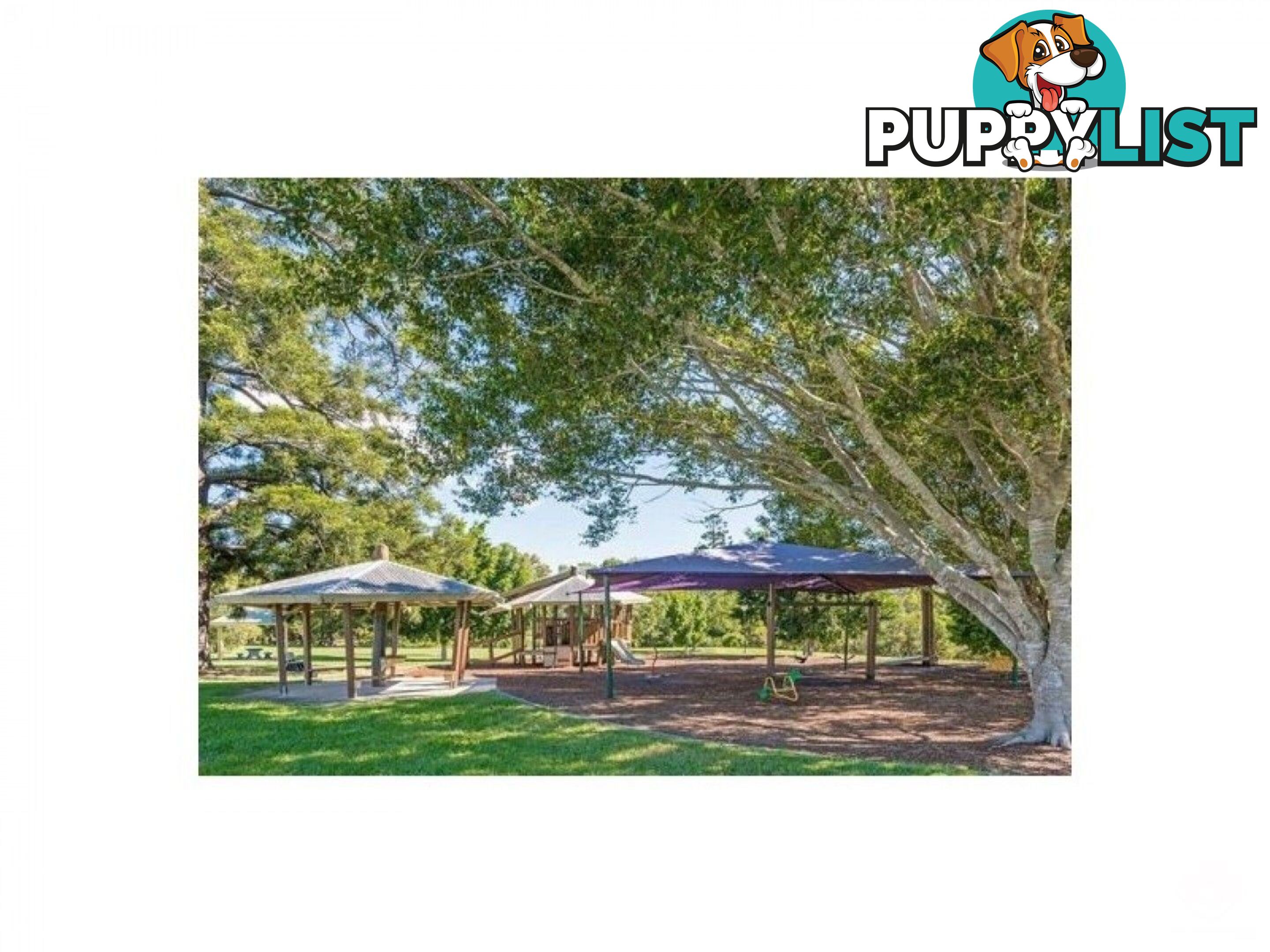 ID:21155114 12 Edmondson Street Corinda QLD 4075