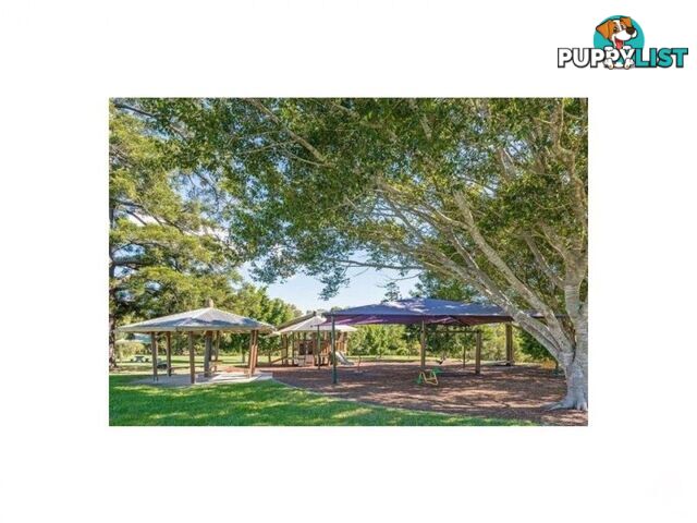 ID:21155114 12 Edmondson Street Corinda QLD 4075