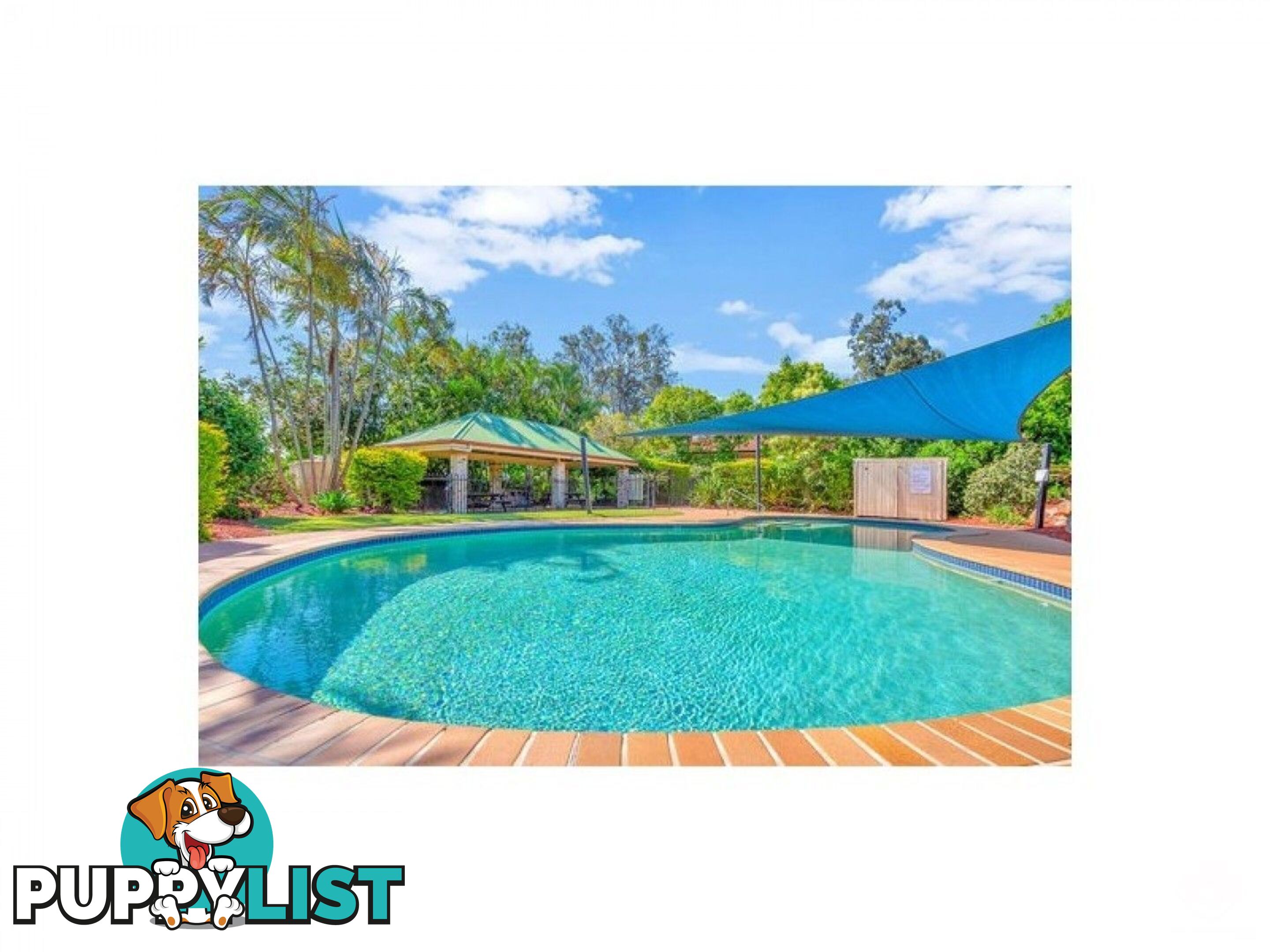 ID:21155114 12 Edmondson Street Corinda QLD 4075