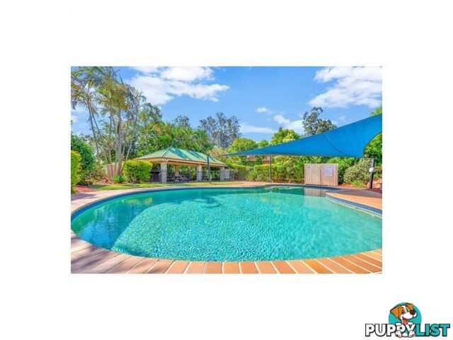 ID:21155114 12 Edmondson Street Corinda QLD 4075