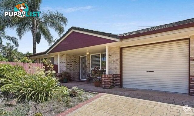 ID:21155114 12 Edmondson Street Corinda QLD 4075