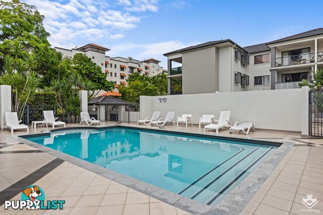 ID:21158036 52 Newstead Terrace Newstead QLD 4006