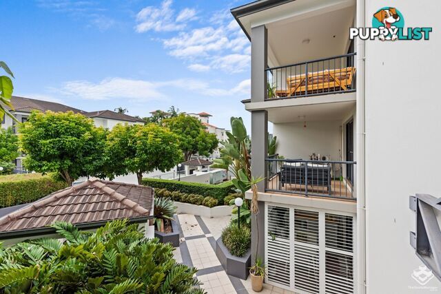 ID:21158036 52 Newstead Terrace Newstead QLD 4006