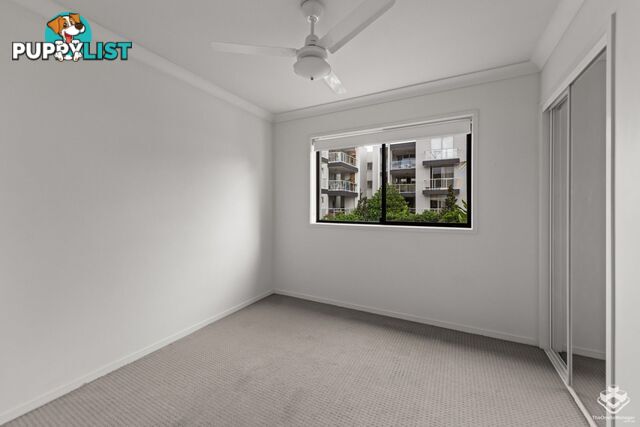 ID:21158036 52 Newstead Terrace Newstead QLD 4006