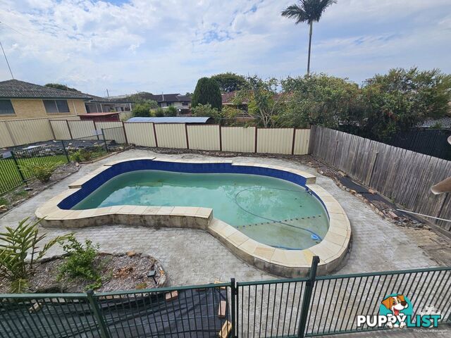 18 Gordonia Street Macgregor QLD 4109