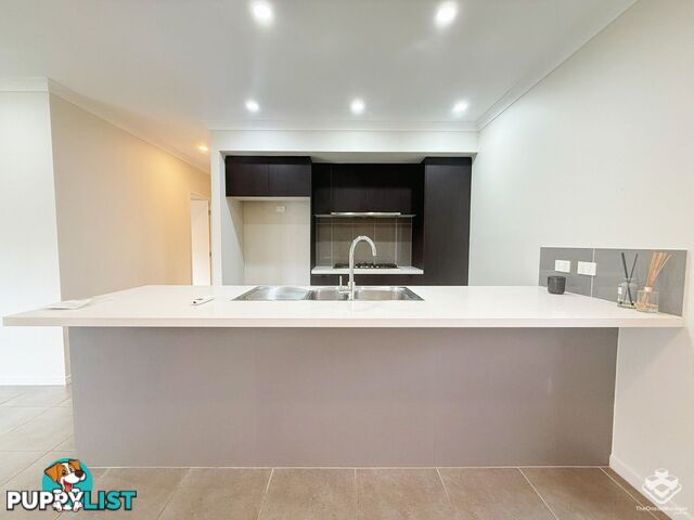 6 Rivina Circuit Coomera QLD 4209