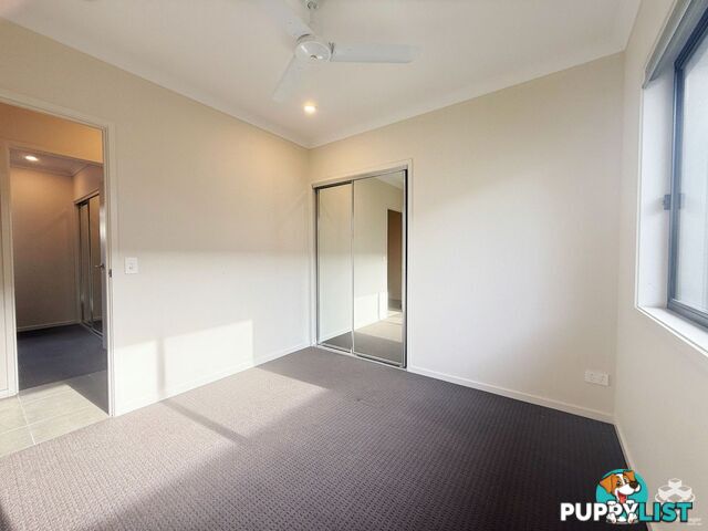 6 Rivina Circuit Coomera QLD 4209
