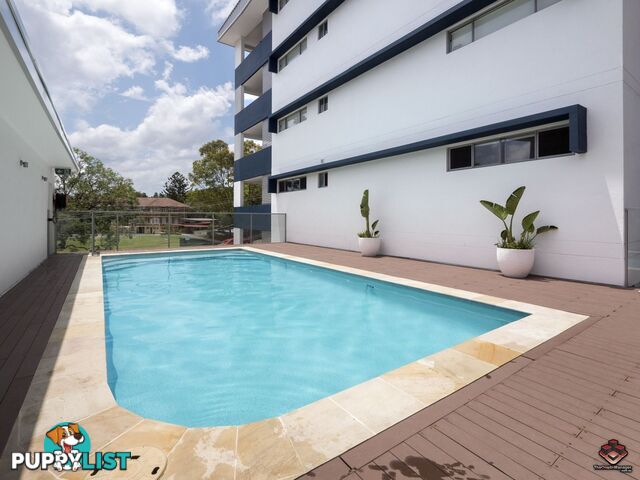 604/19 Tank Street Kelvin Grove QLD 4059