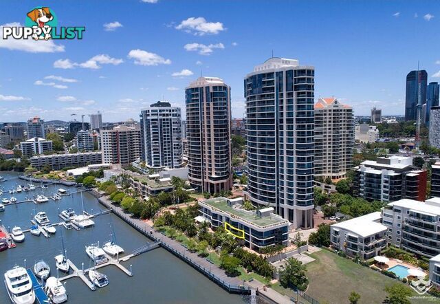 ID:21141715/8 Goodwin Street Kangaroo Point QLD 4169