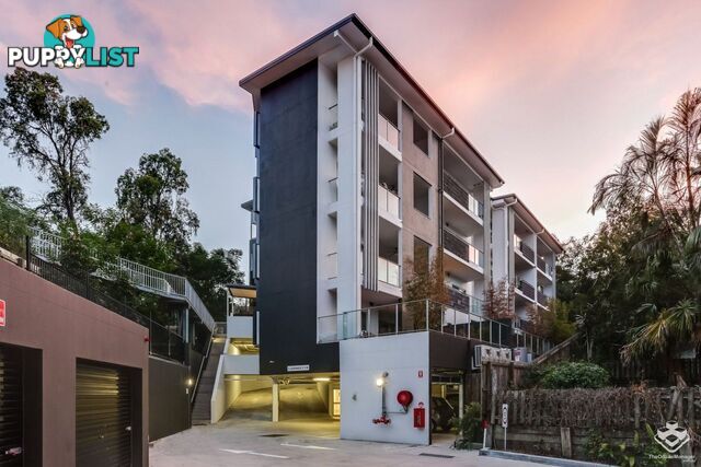 ID:21154521 14 Montrose Road Taringa QLD 4068