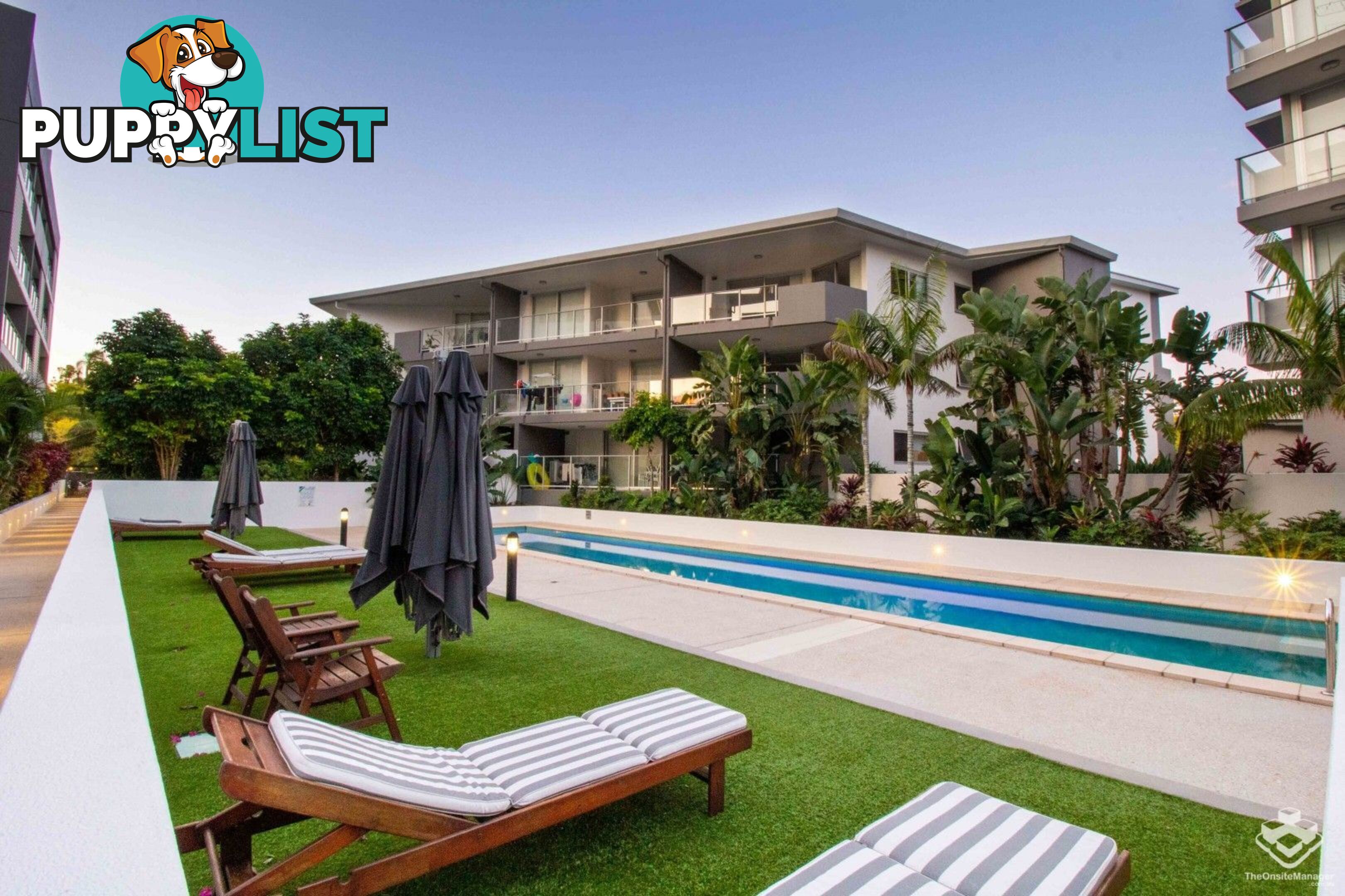 ID:21154316 95 Clarence Road Indooroopilly QLD 4068
