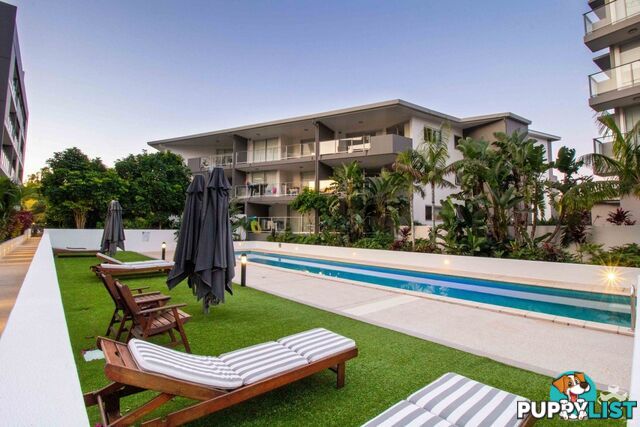 ID:21154316 95 Clarence Road Indooroopilly QLD 4068