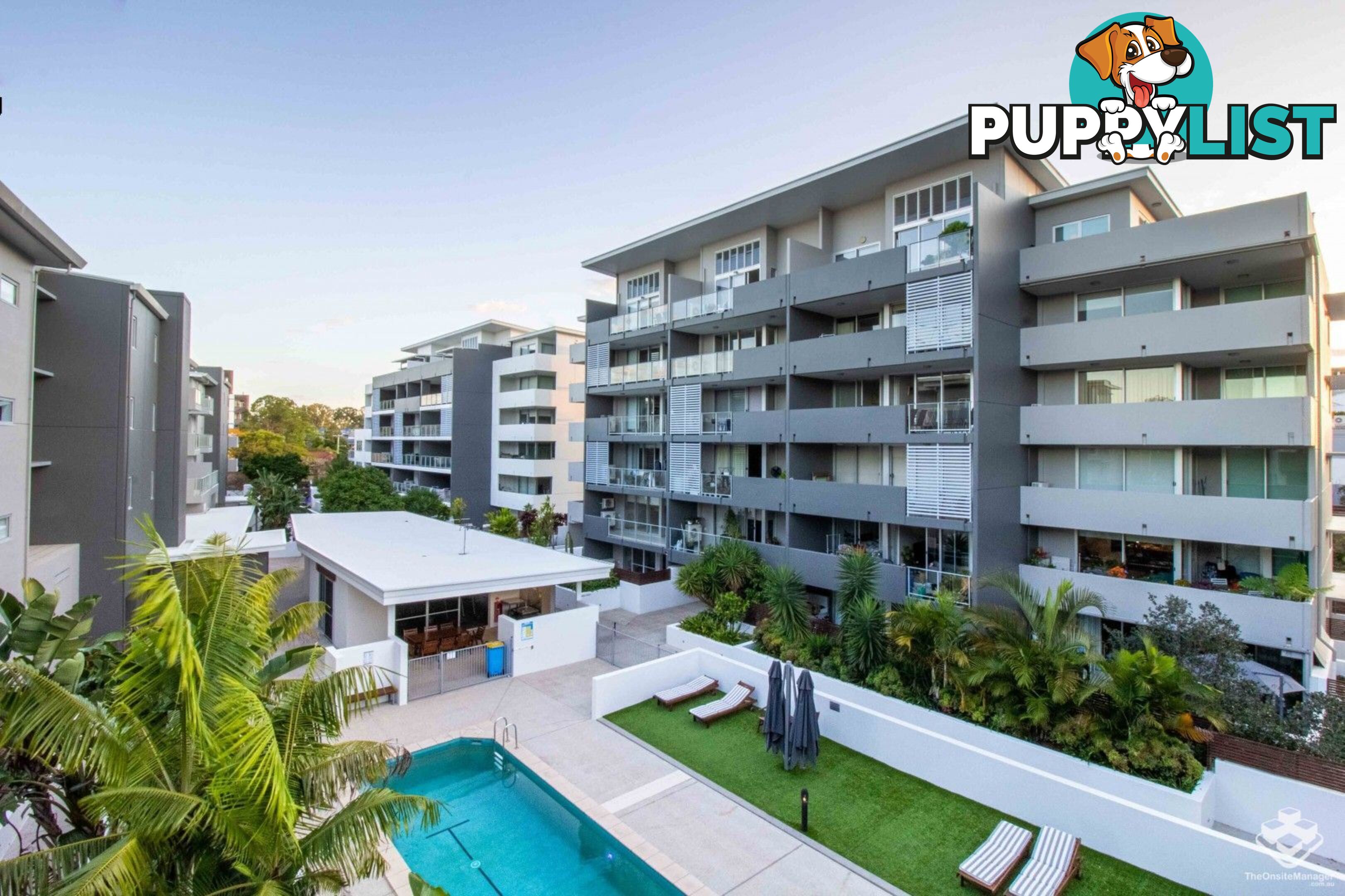 ID:21154316 95 Clarence Road Indooroopilly QLD 4068