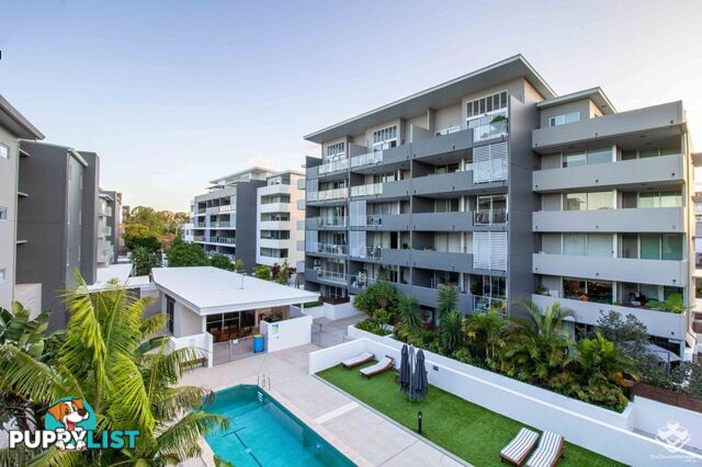 ID:21154316 95 Clarence Road Indooroopilly QLD 4068