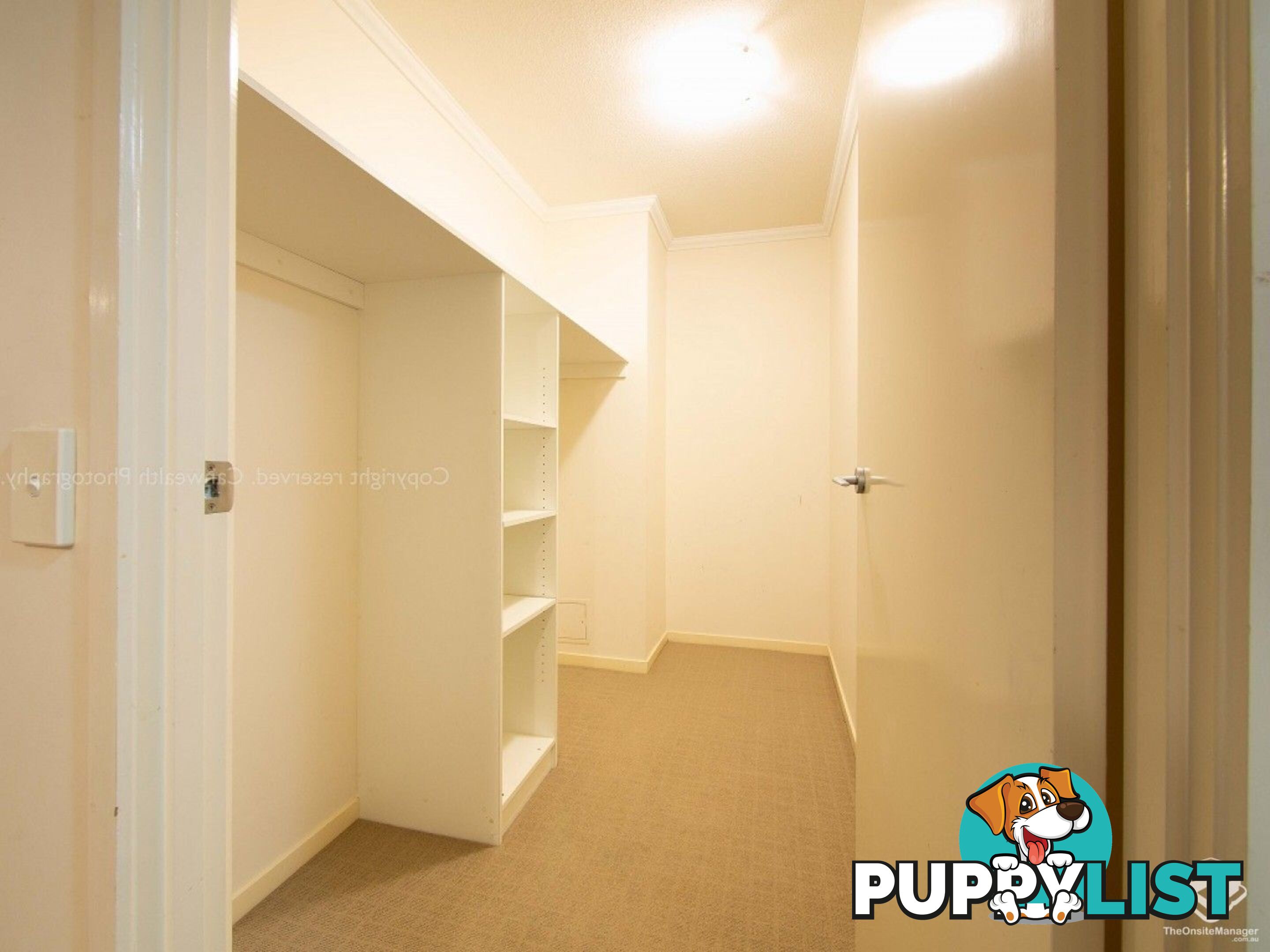 ID:21154316 95 Clarence Road Indooroopilly QLD 4068