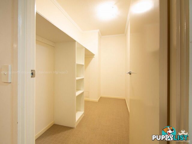ID:21154316 95 Clarence Road Indooroopilly QLD 4068