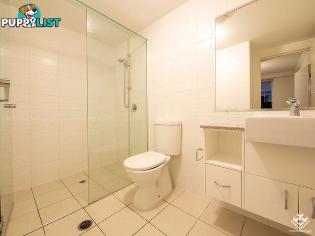 ID:21154316 95 Clarence Road Indooroopilly QLD 4068