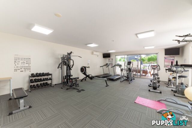 ID:21154316 95 Clarence Road Indooroopilly QLD 4068