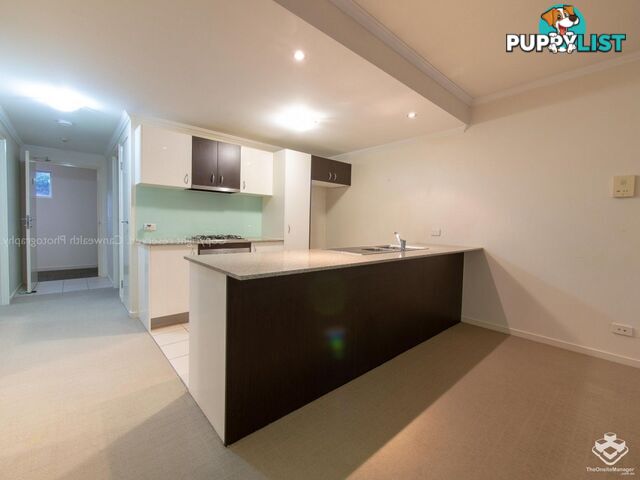 ID:21154316 95 Clarence Road Indooroopilly QLD 4068