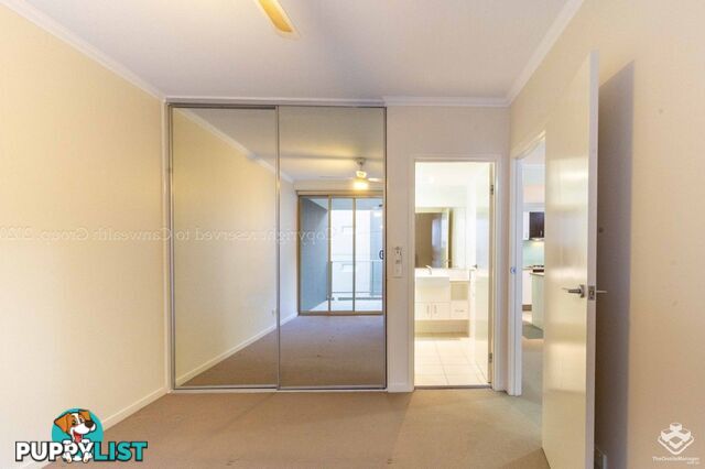 ID:21154316 95 Clarence Road Indooroopilly QLD 4068