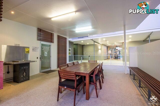 ID:21154316 95 Clarence Road Indooroopilly QLD 4068