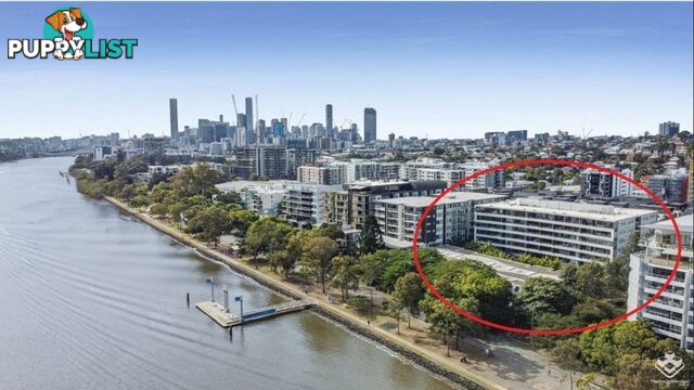 ID:21150259 37 Duncan ST West End QLD 4101