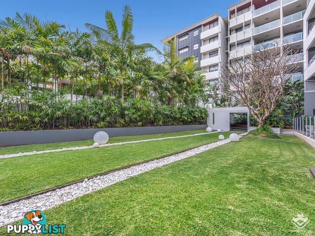ID:21150259 37 Duncan ST West End QLD 4101