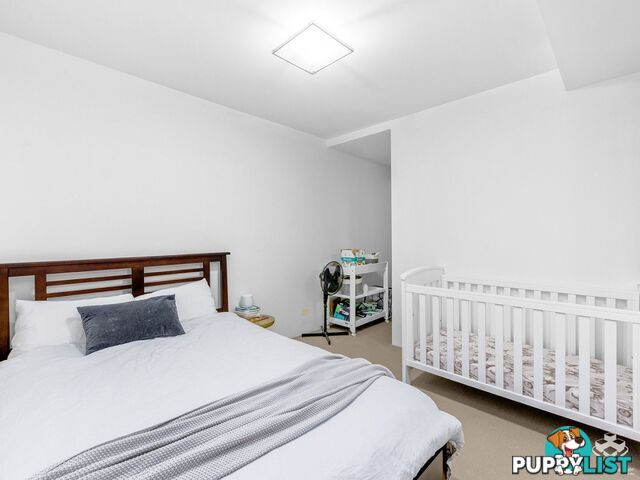 ID:21150259 37 Duncan ST West End QLD 4101