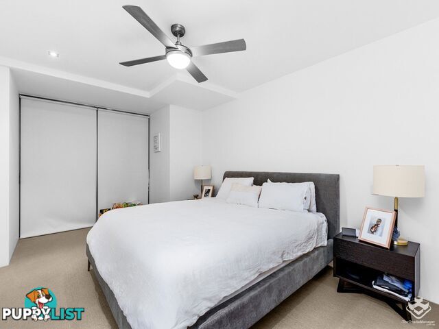 ID:21150259 37 Duncan ST West End QLD 4101