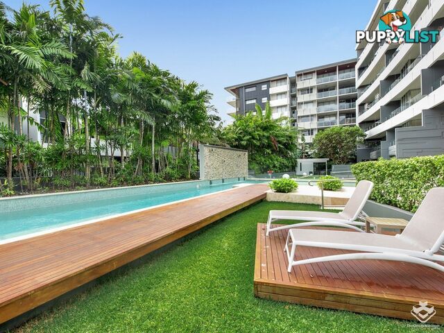 ID:21150259 37 Duncan ST West End QLD 4101