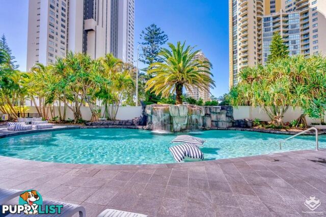 138 Ferny Avenue Surfers Paradise QLD 4217